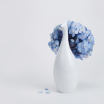 Touch of Modern: Mod Peacock Vase for Just $5 Shipped (after Credit)