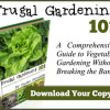 Frugal Gardening 101- Save on produce by growing your own!